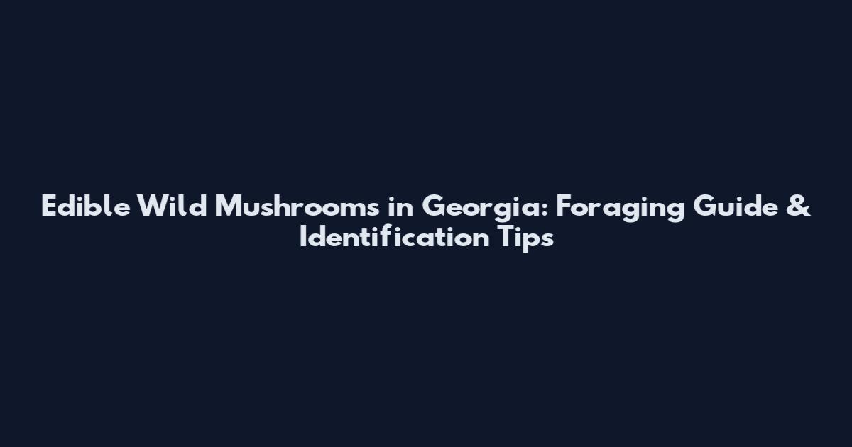 Edible Wild Mushrooms in Georgia: Foraging Guide & Identification Tips