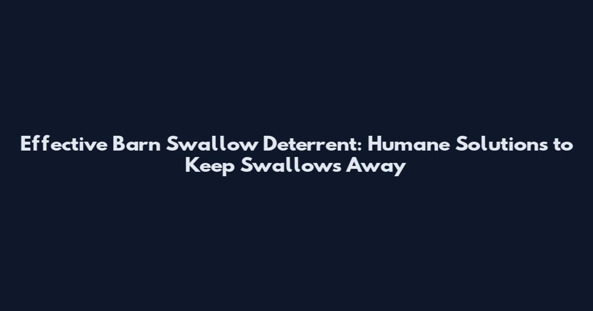 Effective Barn Swallow Deterrent: Humane Solutions to Keep Swallows Away