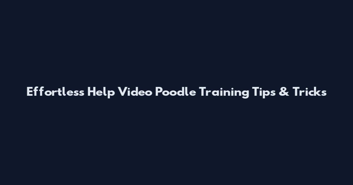 Effortless Help Video Poodle Training Tips & Tricks