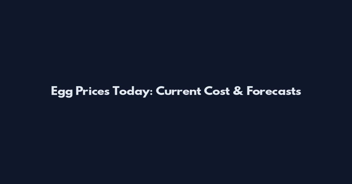 Egg Prices Today: Current Cost & Forecasts