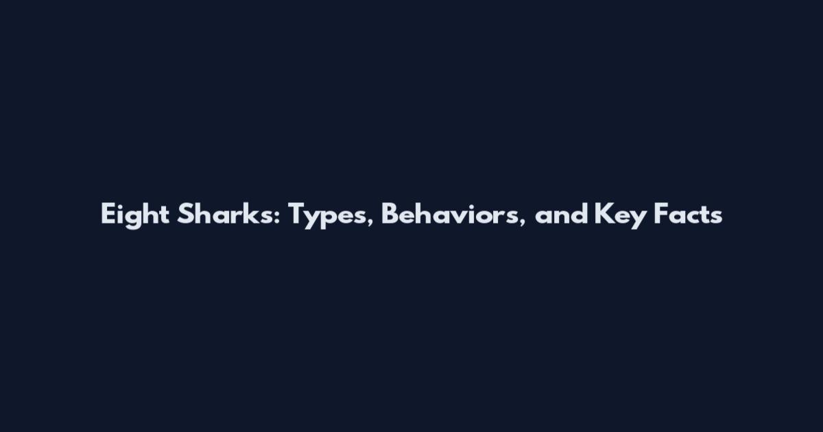Eight Sharks: Types, Behaviors, and Key Facts