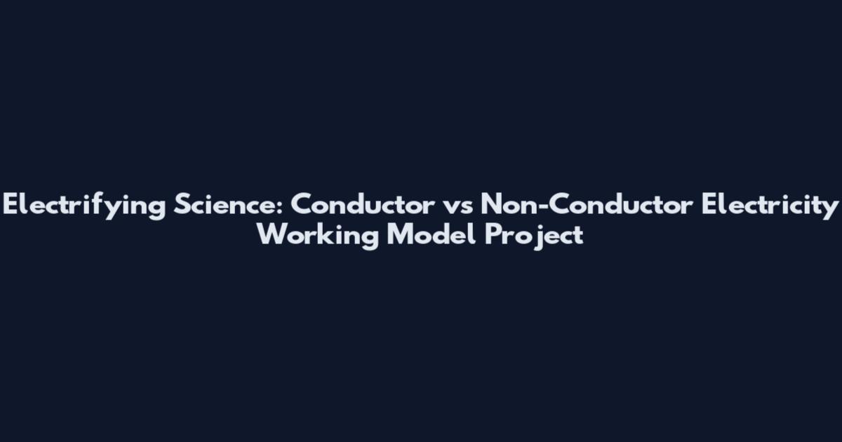 Electrifying Science: Conductor vs Non-Conductor Electricity Working Model Project