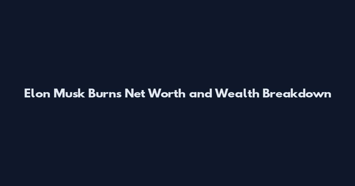 Elon Musk Burns Net Worth and Wealth Breakdown