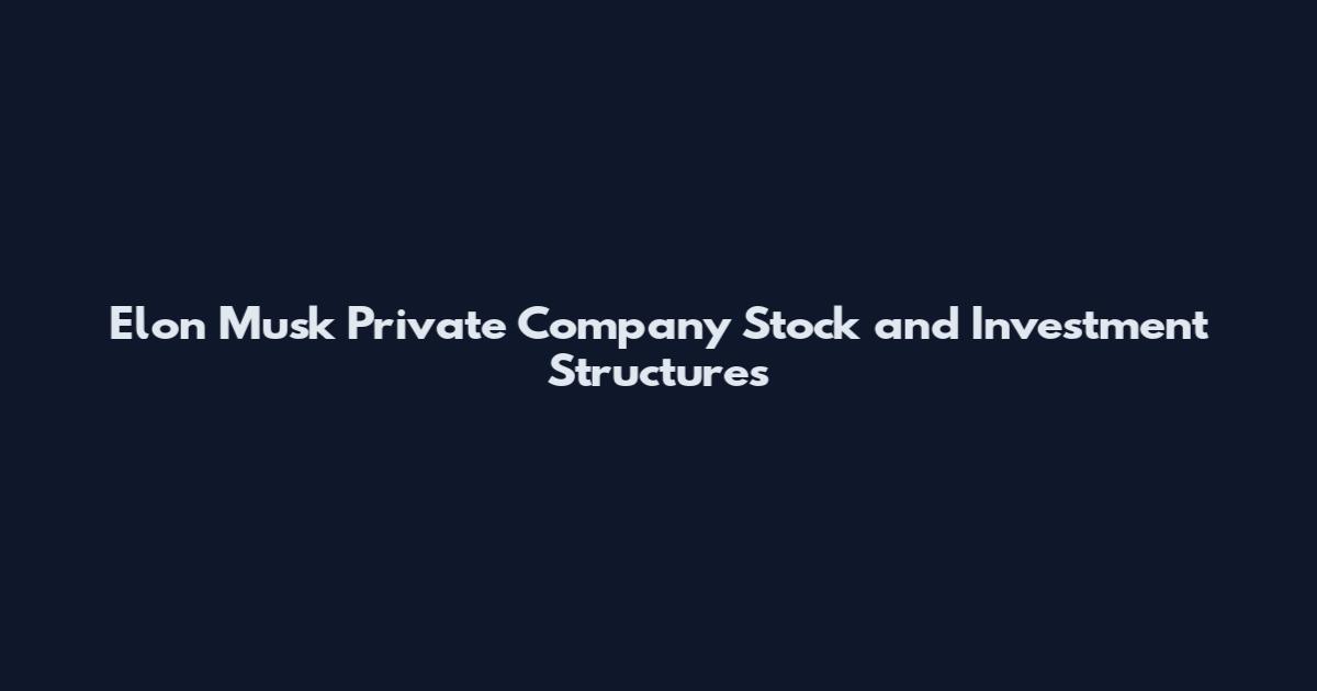 Elon Musk Private Company Stock and Investment Structures