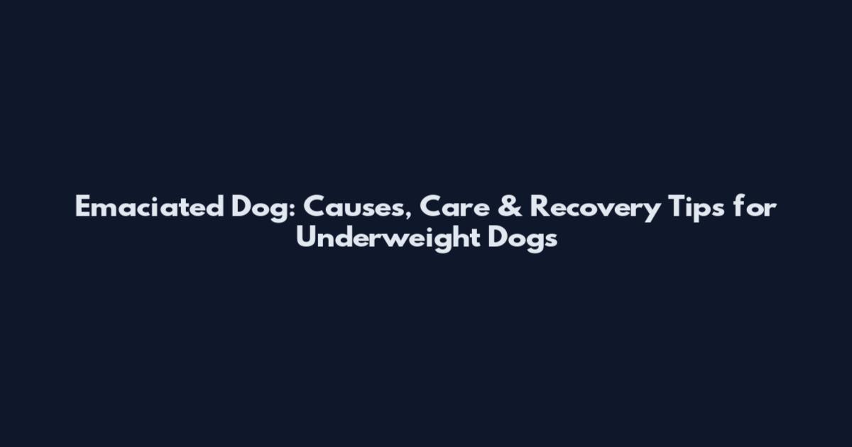 Emaciated Dog: Causes, Care & Recovery Tips for Underweight Dogs