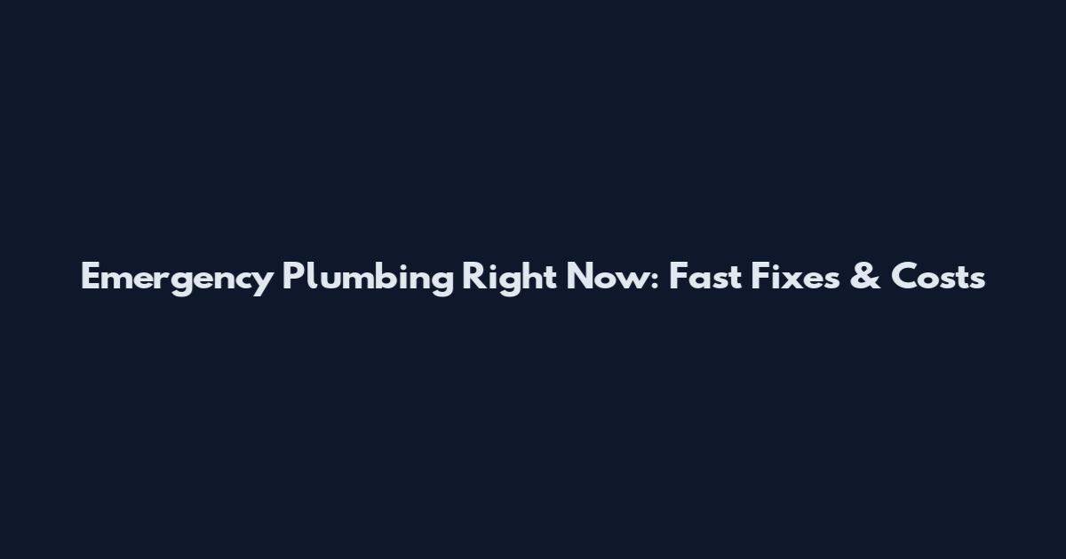 Emergency Plumbing Right Now: Fast Fixes & Costs