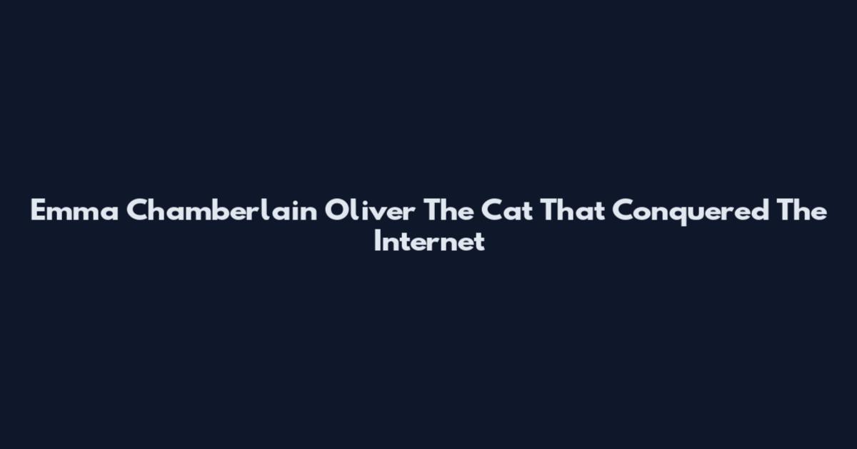Emma Chamberlain Oliver The Cat That Conquered The Internet
