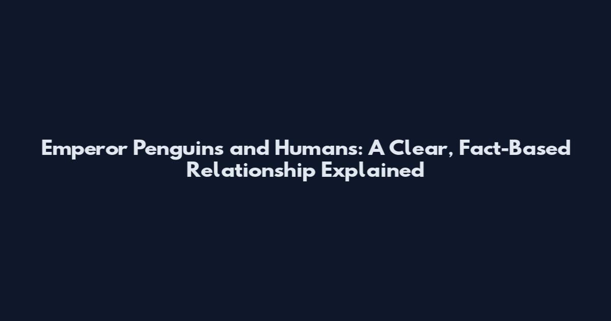 Emperor Penguins and Humans: A Clear, Fact-Based Relationship Explained