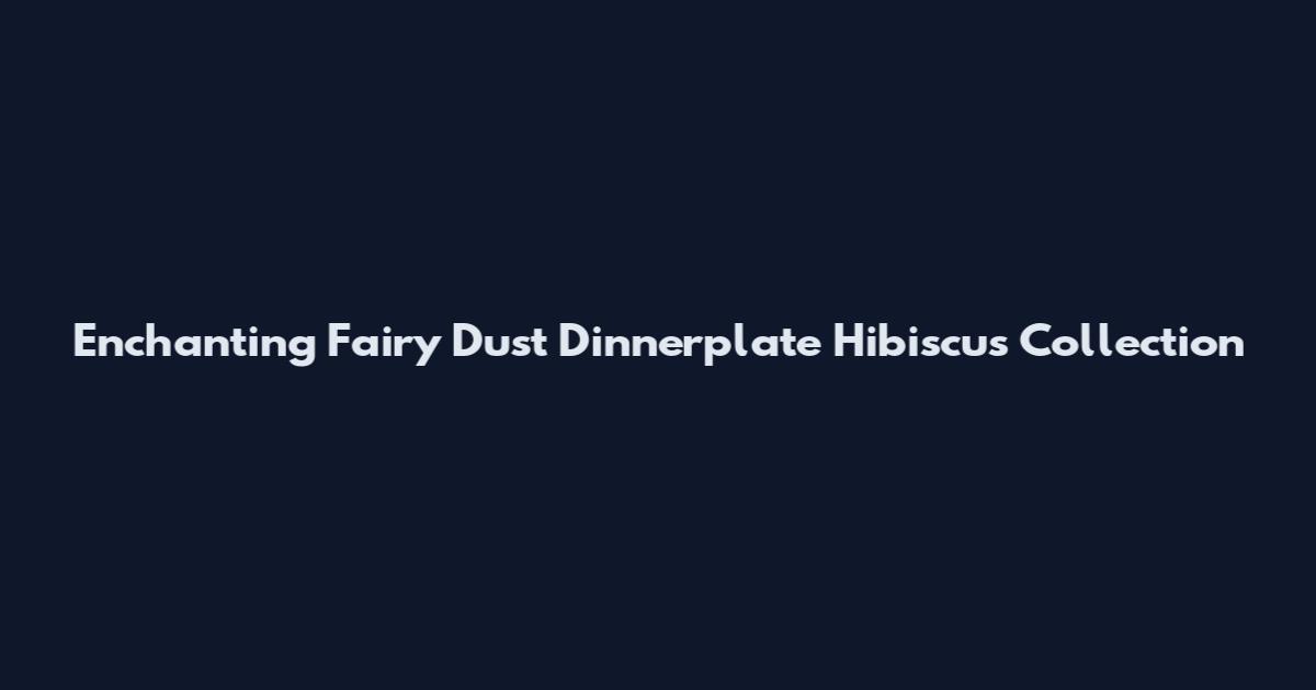 Enchanting Fairy Dust Dinnerplate Hibiscus Collection
