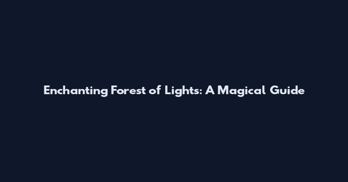 Enchanting Forest of Lights: A Magical Guide