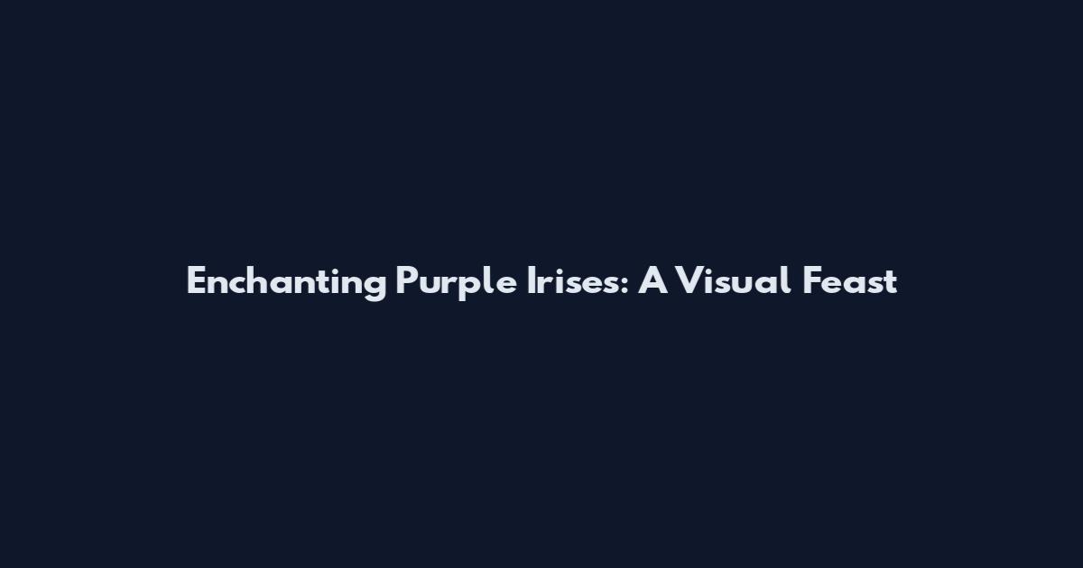 Enchanting Purple Irises: A Visual Feast