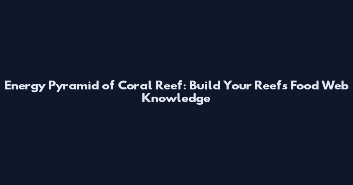 Energy Pyramid of Coral Reef: Build Your Reef's Food Web Knowledge
