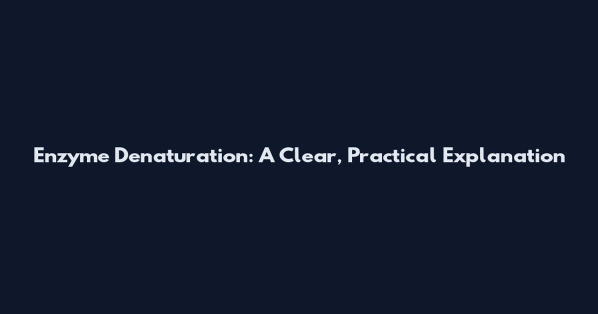Enzyme Denaturation: A Clear, Practical Explanation