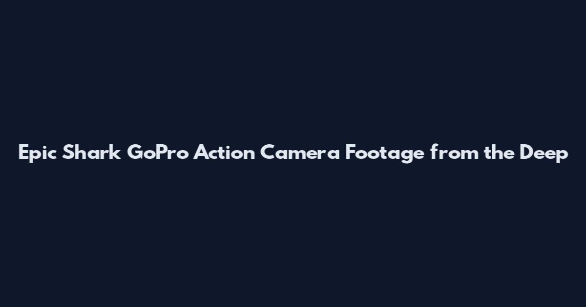 Epic Shark GoPro Action Camera Footage from the Deep