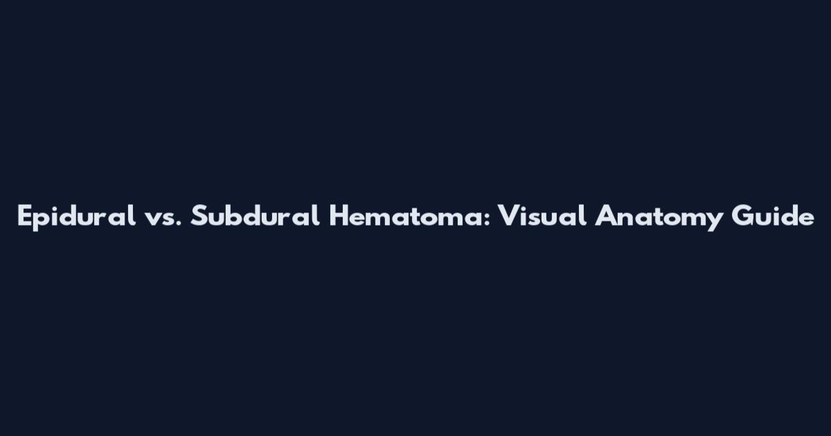 Epidural vs. Subdural Hematoma: Visual Anatomy Guide