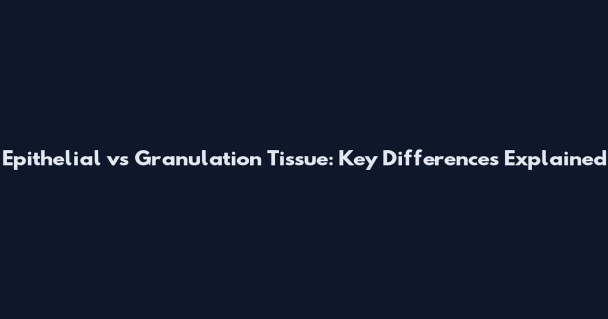 Epithelial vs Granulation Tissue: Key Differences Explained