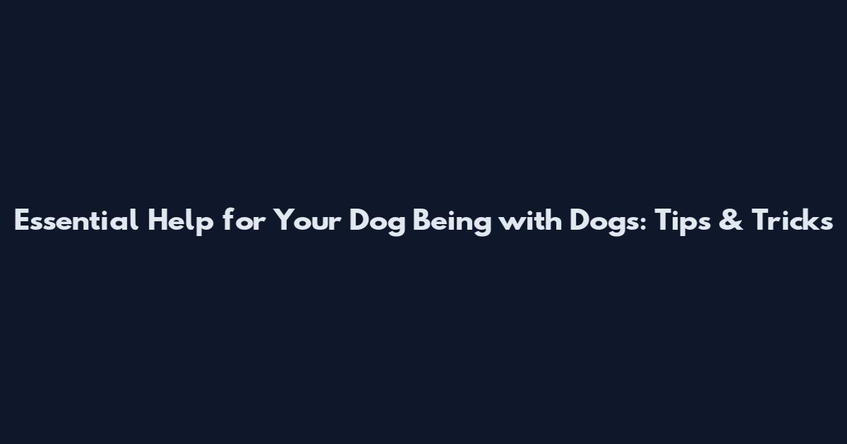 Essential Help for Your Dog Being with Dogs: Tips & Tricks