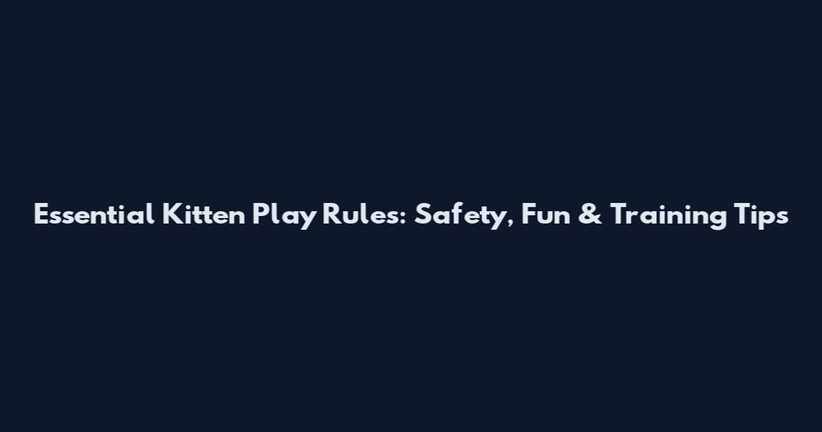 Essential Kitten Play Rules: Safety, Fun & Training Tips