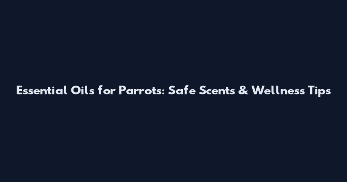 Essential Oils for Parrots: Safe Scents & Wellness Tips