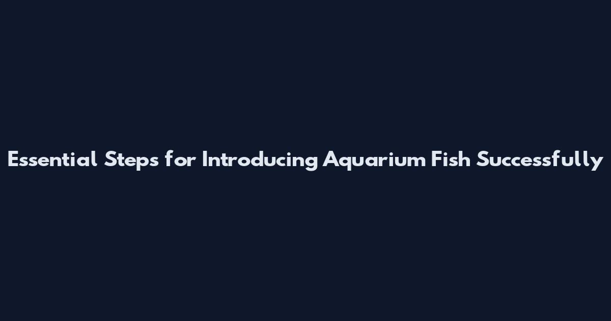 Essential Steps for Introducing Aquarium Fish Successfully