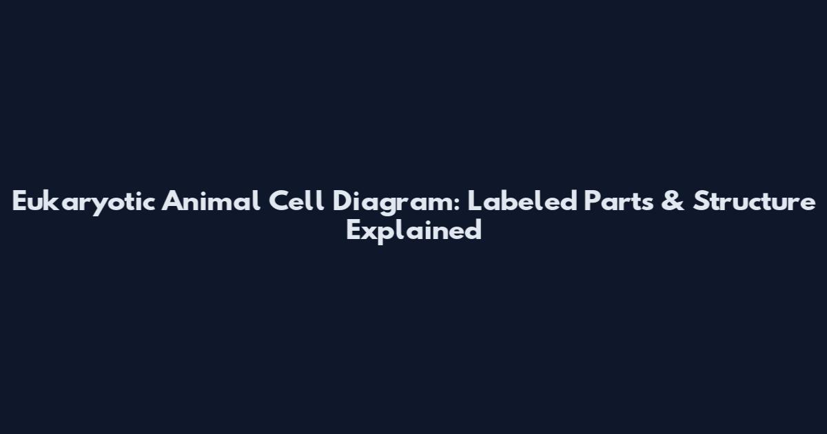 Eukaryotic Animal Cell Diagram: Labeled Parts & Structure Explained