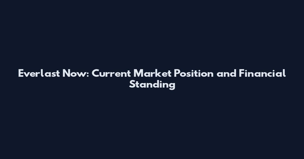 Everlast Now: Current Market Position and Financial Standing