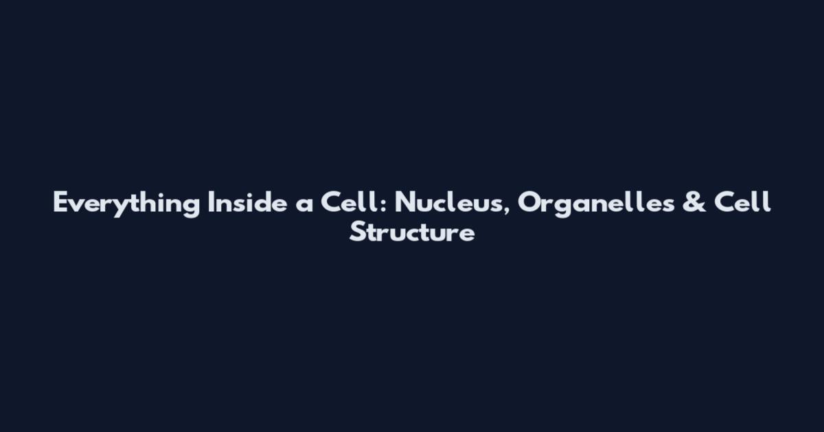 Everything Inside a Cell: Nucleus, Organelles & Cell Structure