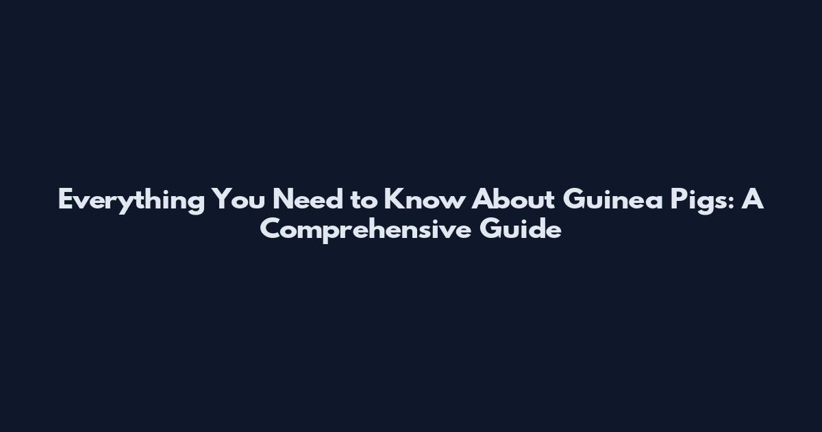 Everything You Need to Know About Guinea Pigs: A Comprehensive Guide