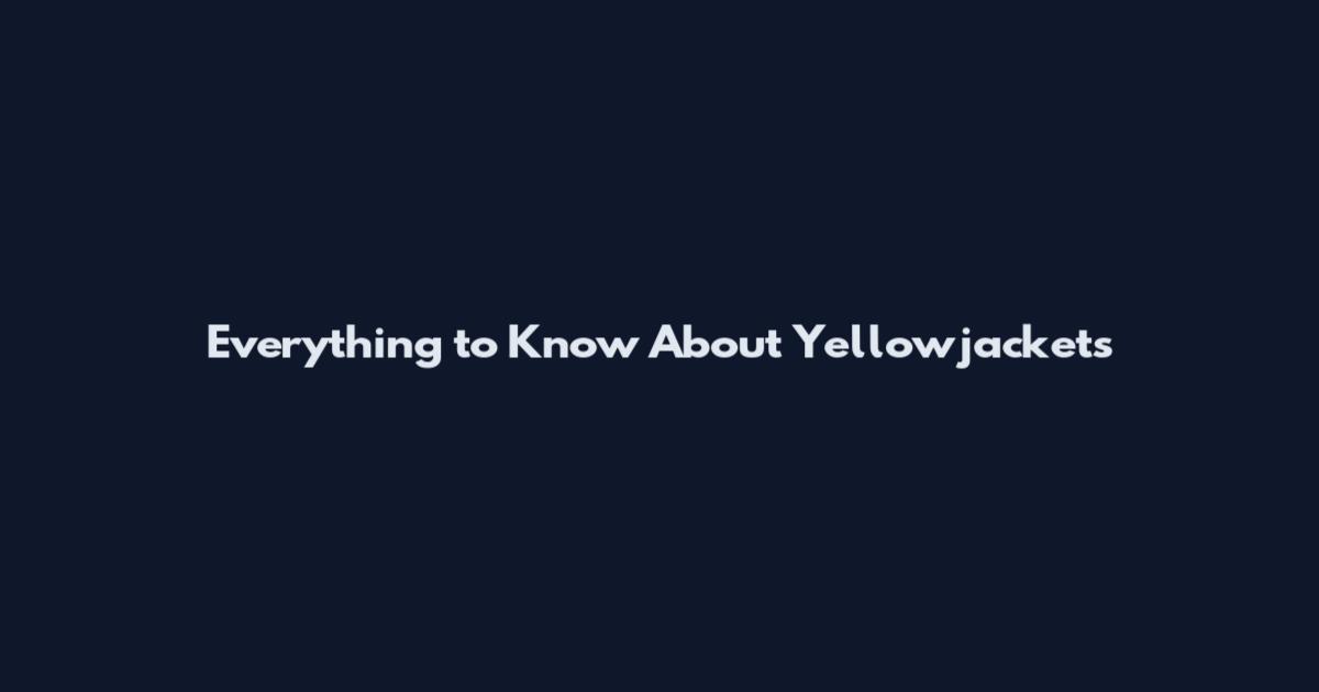 Everything to Know About Yellowjackets