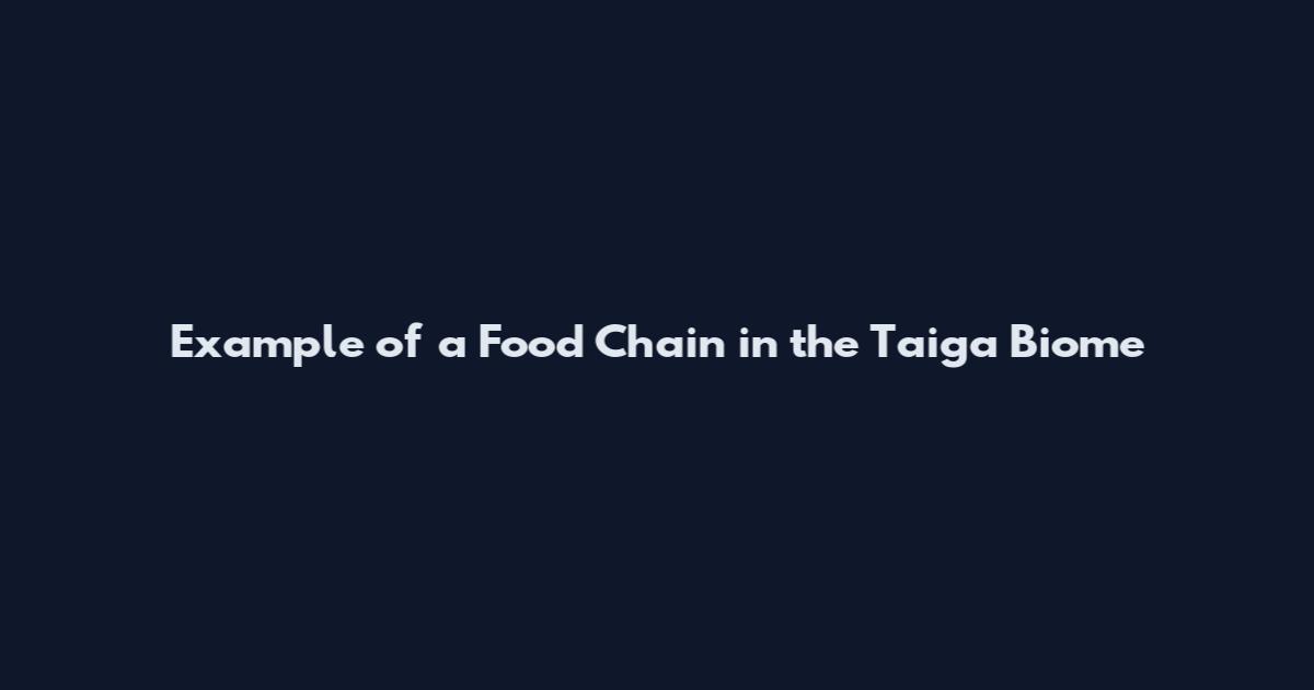 Example of a Food Chain in the Taiga Biome