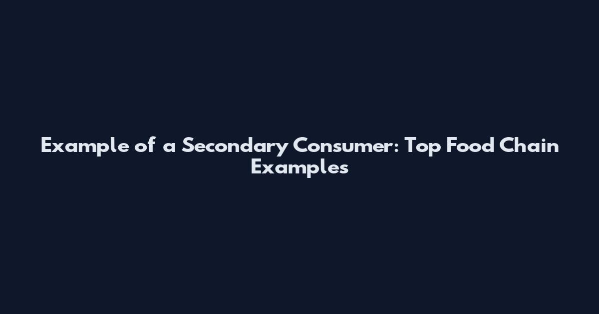 Example of a Secondary Consumer: Top Food Chain Examples