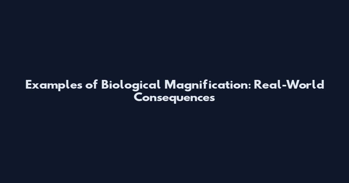 Examples of Biological Magnification: Real-World Consequences