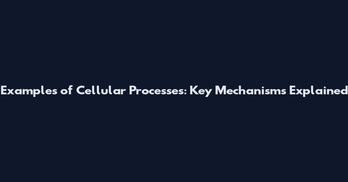 Examples of Cellular Processes: Key Mechanisms Explained