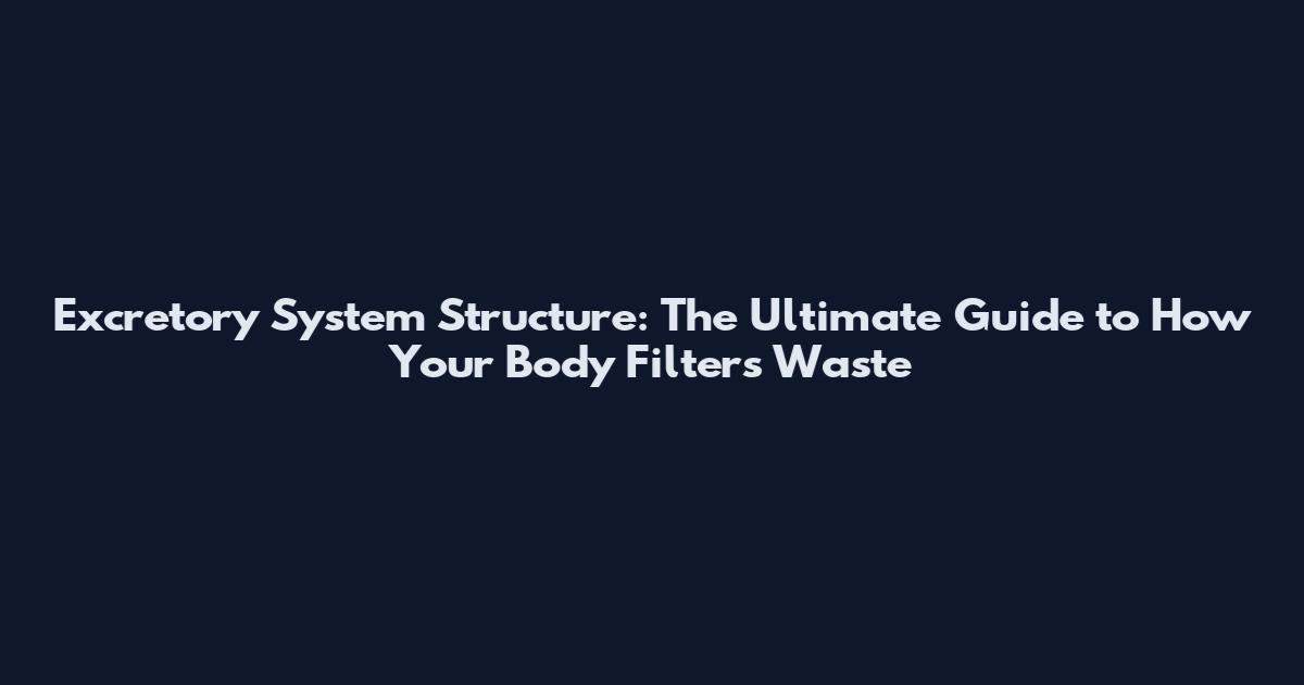 Excretory System Structure: The Ultimate Guide to How Your Body Filters Waste