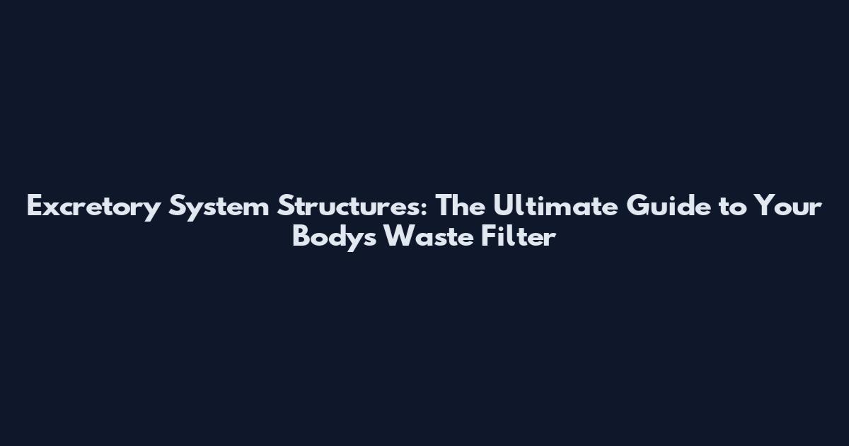 Excretory System Structures: The Ultimate Guide to Your Body's Waste Filter