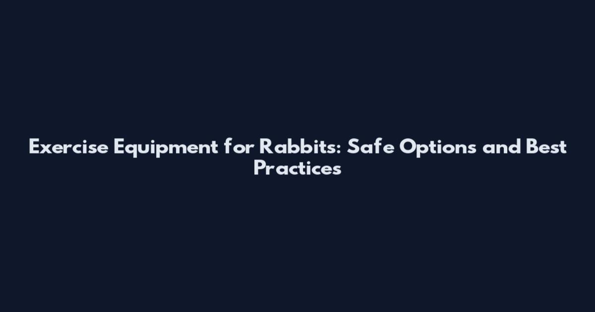 Exercise Equipment for Rabbits: Safe Options and Best Practices