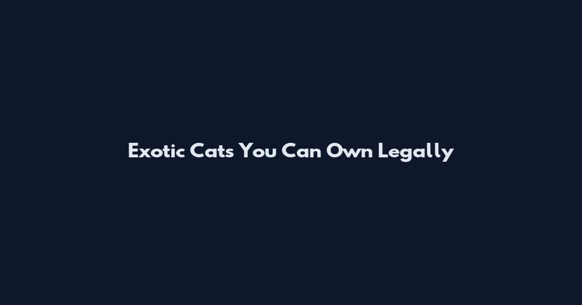 Exotic Cats You Can Own Legally