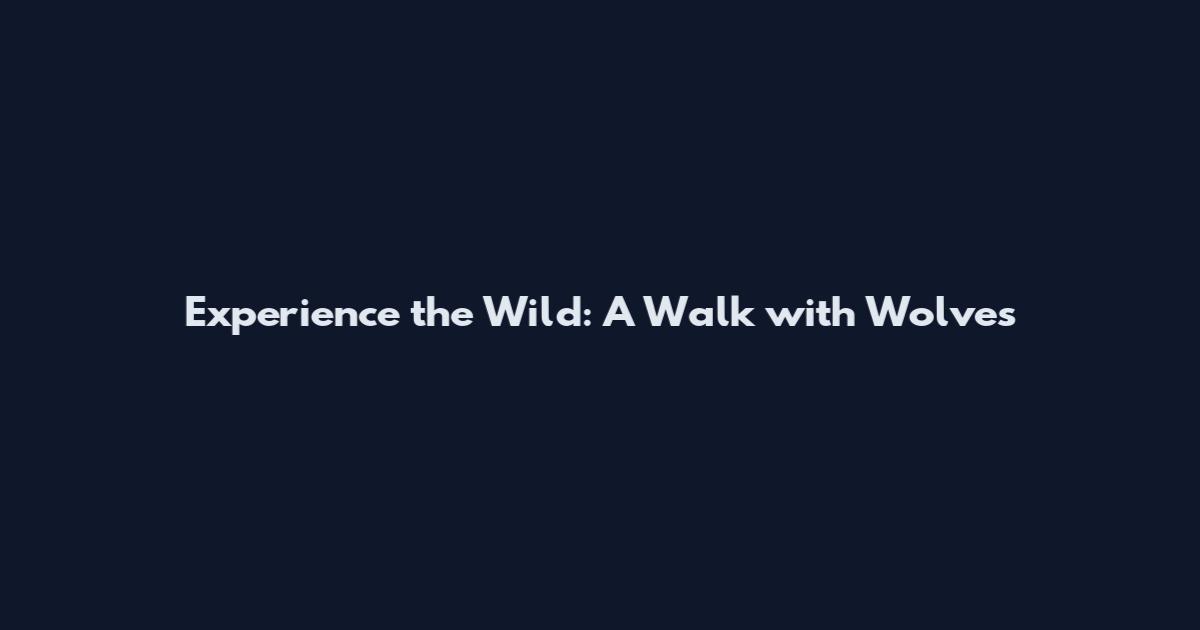 Experience the Wild: A Walk with Wolves