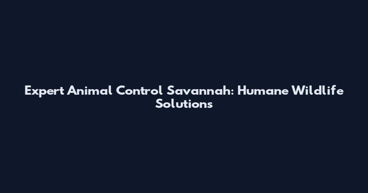 Expert Animal Control Savannah: Humane Wildlife Solutions