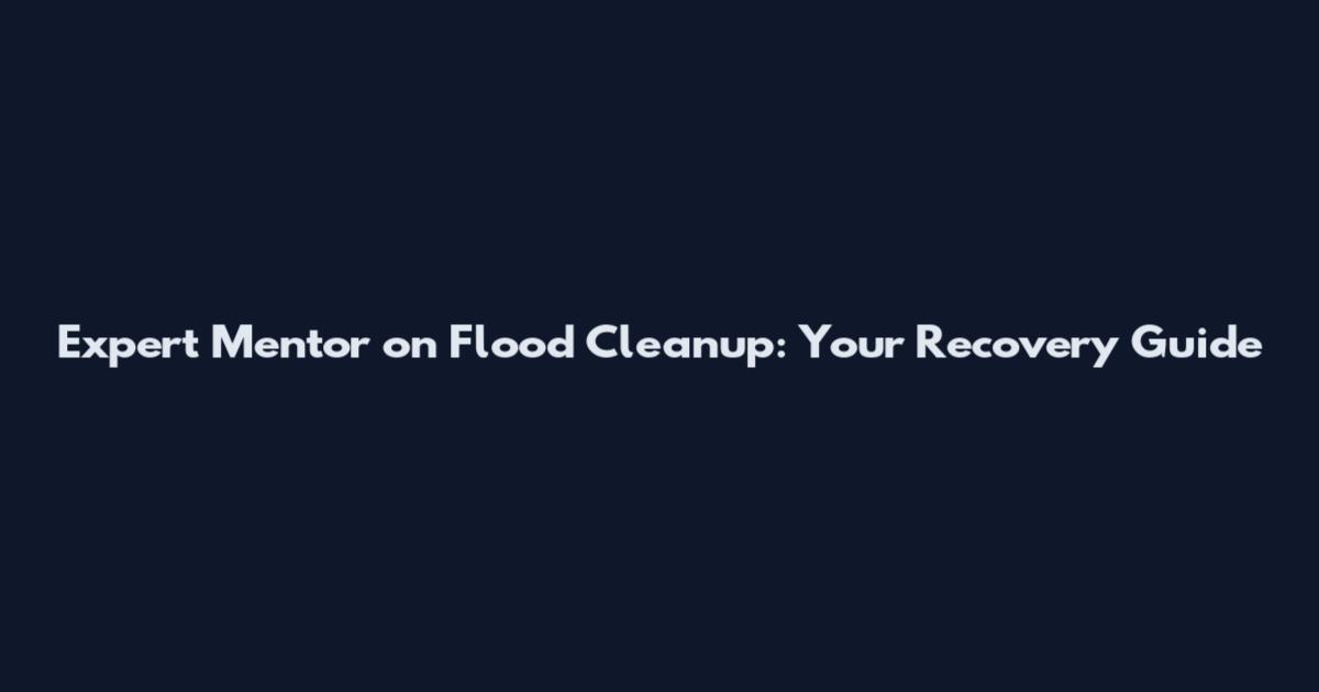 Expert Mentor on Flood Cleanup: Your Recovery Guide