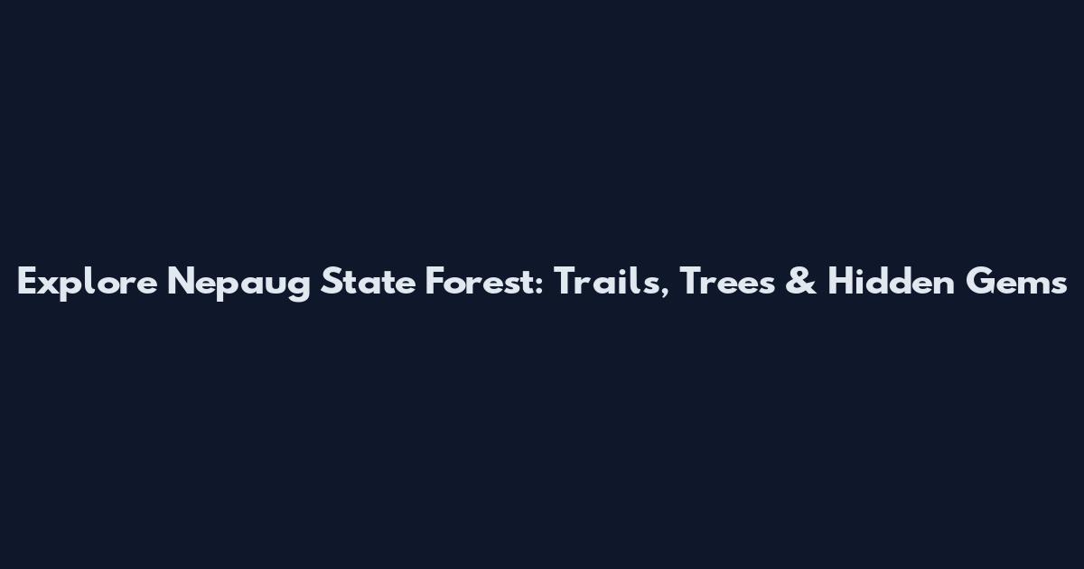 Explore Nepaug State Forest: Trails, Trees & Hidden Gems