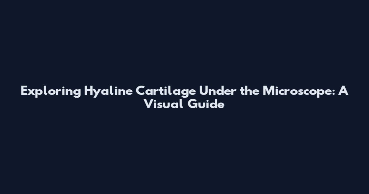 Exploring Hyaline Cartilage Under the Microscope: A Visual Guide