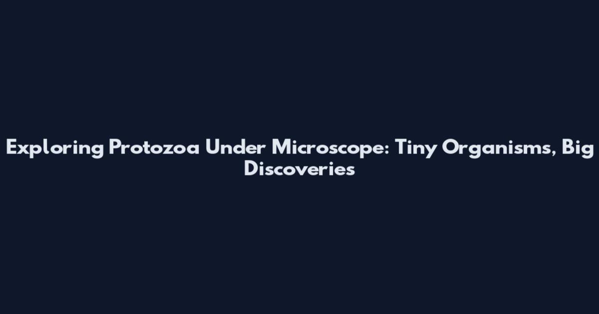 Exploring Protozoa Under Microscope: Tiny Organisms, Big Discoveries