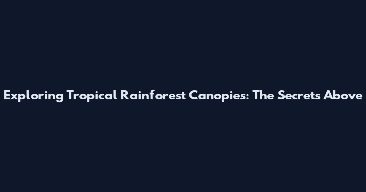 Exploring Tropical Rainforest Canopies: The Secrets Above