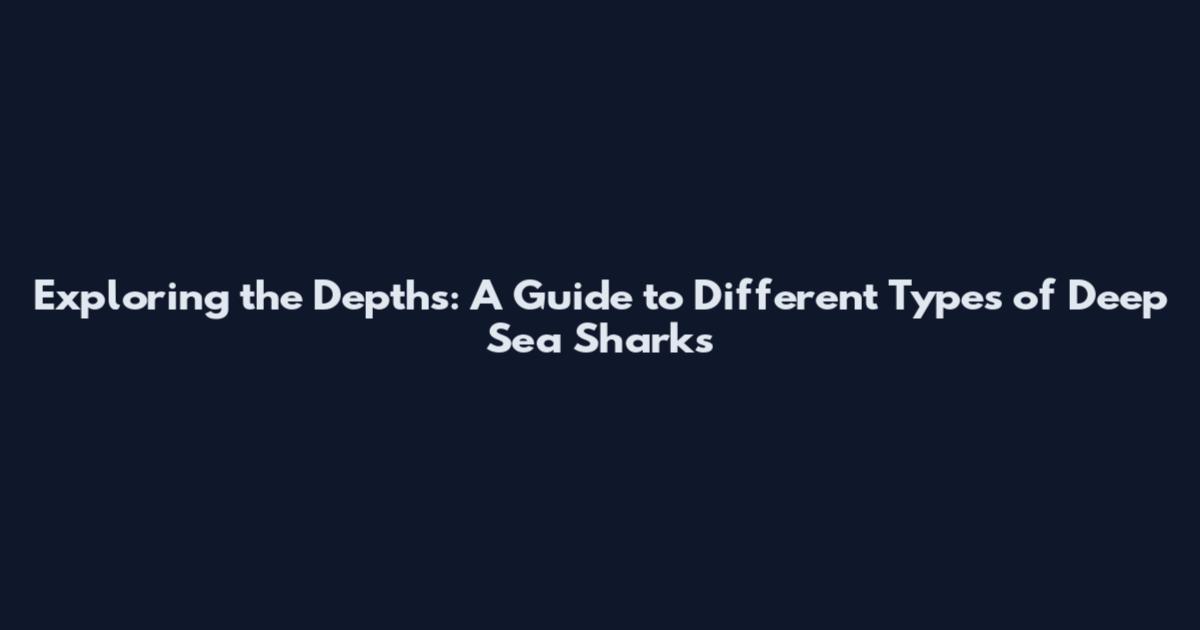 Exploring the Depths: A Guide to Different Types of Deep Sea Sharks