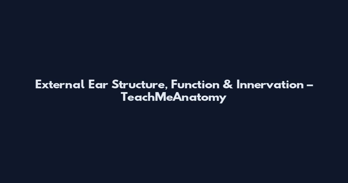 External Ear Structure, Function & Innervation – TeachMeAnatomy