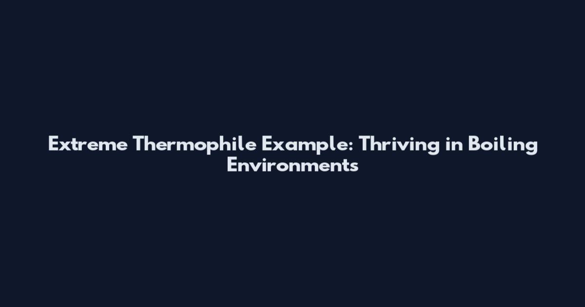 Extreme Thermophile Example: Thriving in Boiling Environments