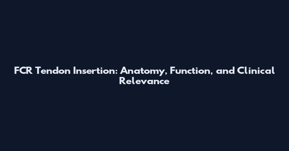 FCR Tendon Insertion: Anatomy, Function, and Clinical Relevance