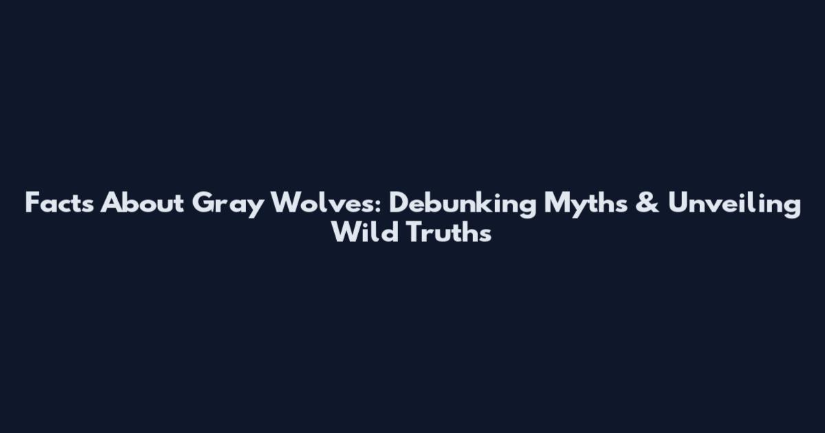 Facts About Gray Wolves: Debunking Myths & Unveiling Wild Truths