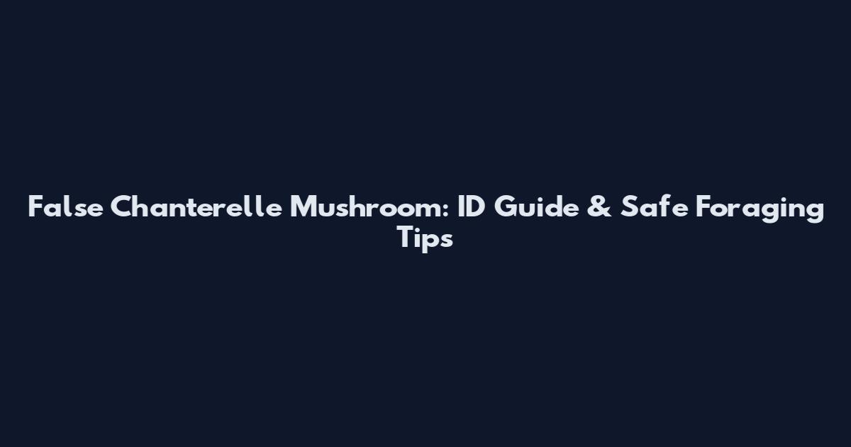 False Chanterelle Mushroom: ID Guide & Safe Foraging Tips
